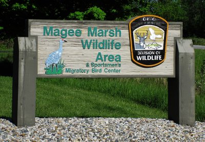 Magee Marsh Wildlife Area, Ohio,2009