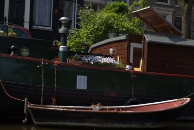 Spring flowers on a houseboat