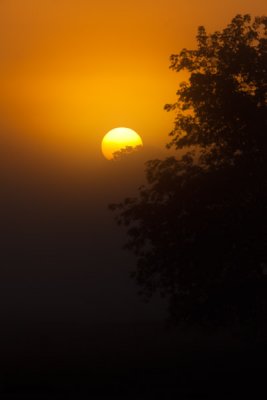 Sunrise through the Fog