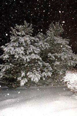 More Snow