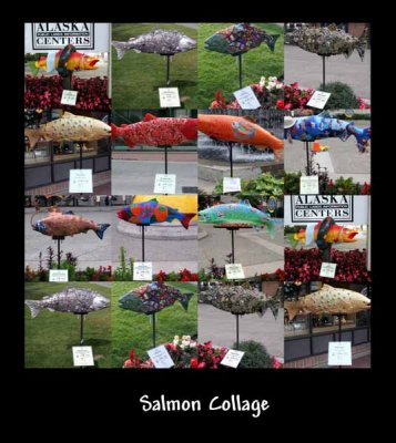 Salmon Collage