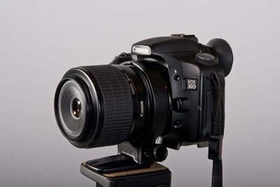 Canon MP-E65mm f/2.8 1-5X Macro Lens