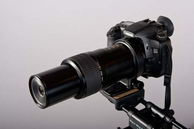 Canon MP-E65mm f/2.8 1-5X Macro Lens
