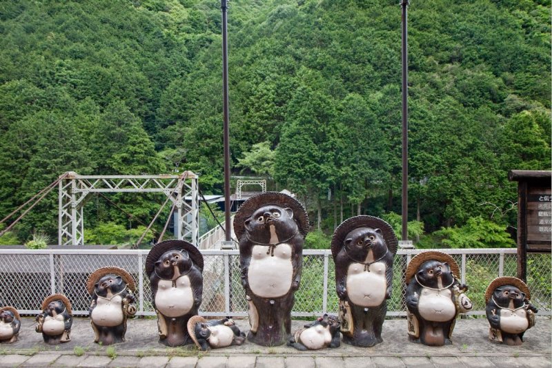 Racoon Dogs</br><big>狸</big>