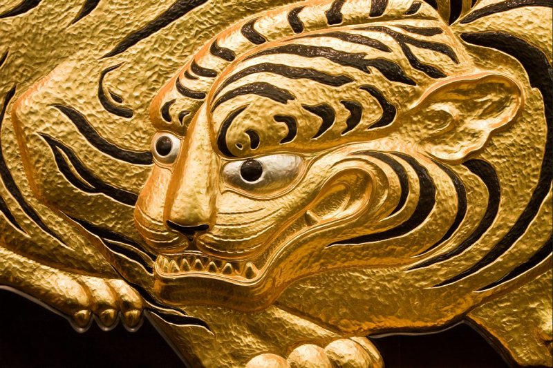 Fusetora Tiger