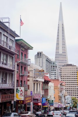 In the Shadow of the Transamerica Pyramid