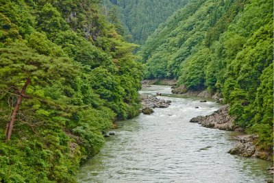 Hozu River保津川