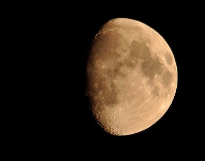 DSC_3822b.jpg