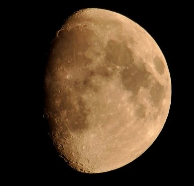 DSC_3824a.jpg