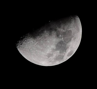 DSC_7963a.jpg