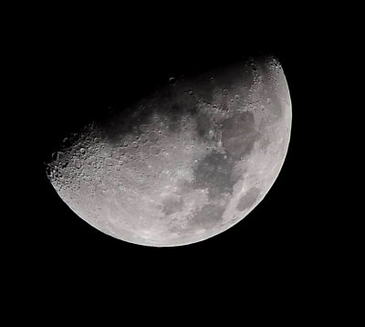 DSC_7965a.jpg