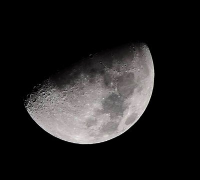 DSC_7967a.jpg