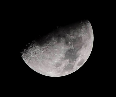 DSC_7979a.jpg