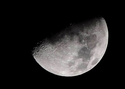 DSC_7985b.jpg