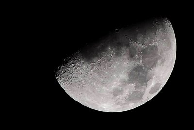 DSC_7985c.jpg