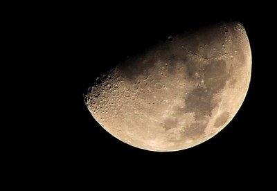 DSC_7950A.jpg