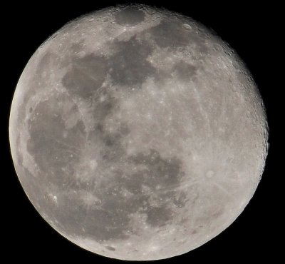 DSC_9821a.jpg