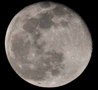 DSC_9824a.jpg