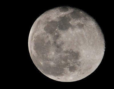 DSC_9821b.jpg
