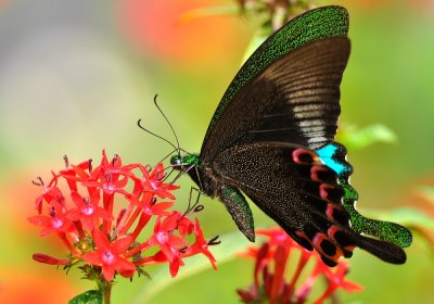 DSC_1391a.jpg
