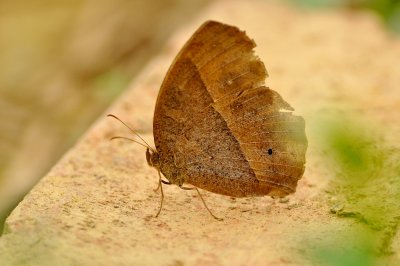 DSC_1769Aǲ.jpg