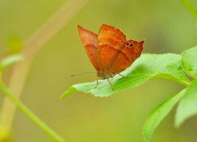 DSC_2365AD    .jpg