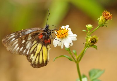 DSC_3110a.jpg