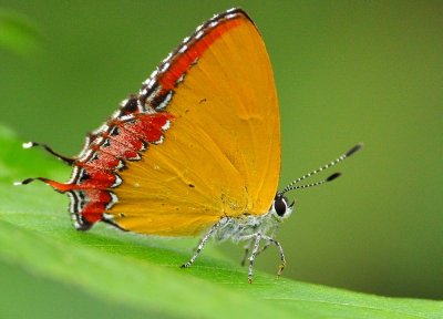 DSC_3385a.jpg