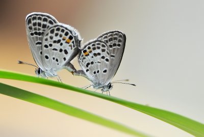 DSC_1164aa.jpg