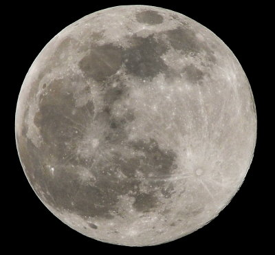 DSC_0239a.jpg