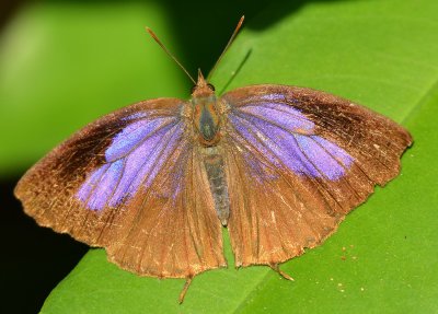 DSC_2765aa.jpg