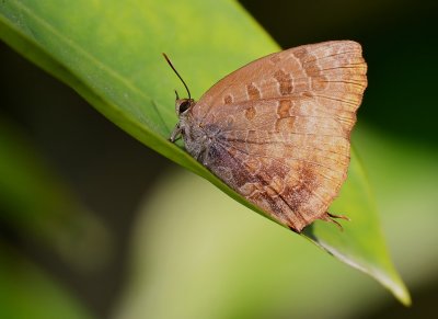 DSC_2821aa.jpg