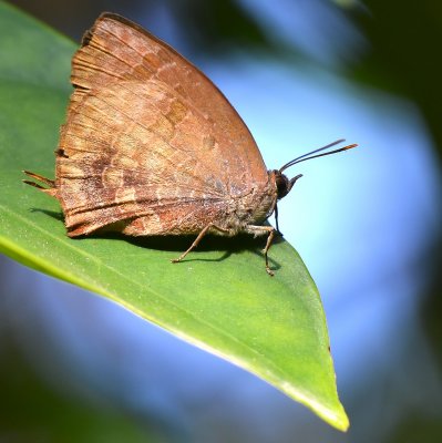 DSC_2826aa.jpg