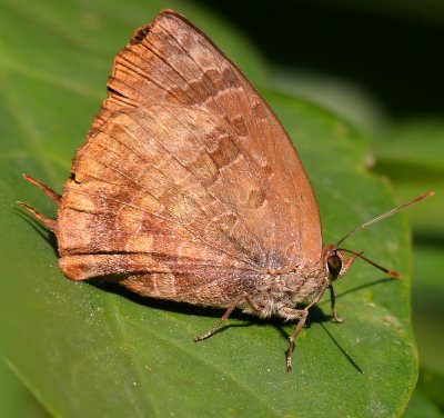 DSC_2863aa.jpg
