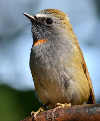 DSC_8470bb.jpg