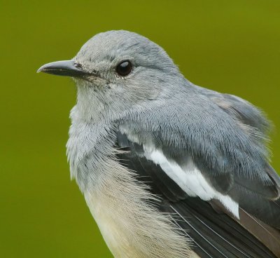 DSC_4957aaa.jpg
