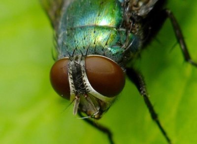 DSCF3108v.jpg
