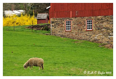 Spring at Stover Myer Farm