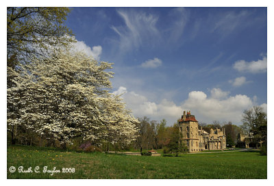 Spring at Fonthill, 5