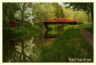 Spring Morning Along the Canal