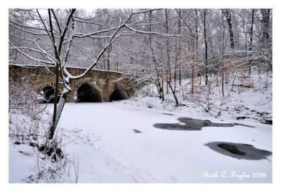 Winter Along Pidcock Creek