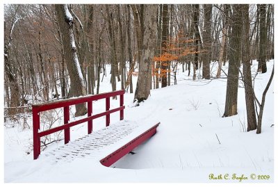 Winter at Ralph Stover Park