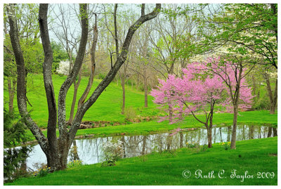 Spring in Carversville