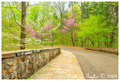 Spring Over Pidcock Stone Bridge