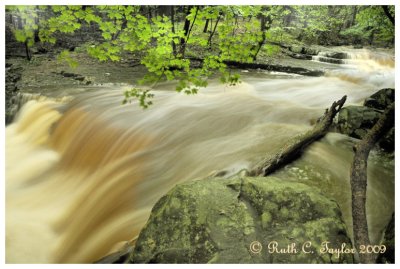 Summer Rain along High Falls Creek, Ringing Rock Park