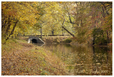 Autumn Crossing along the Canal