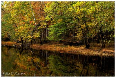Autumn Along the Tohickon Creek