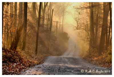 Misty Sunrise in the Valley