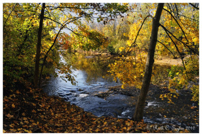 Autumn Light Along Neshaminy Creek