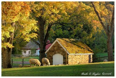 Autumn Light at Thompson Neely Farm